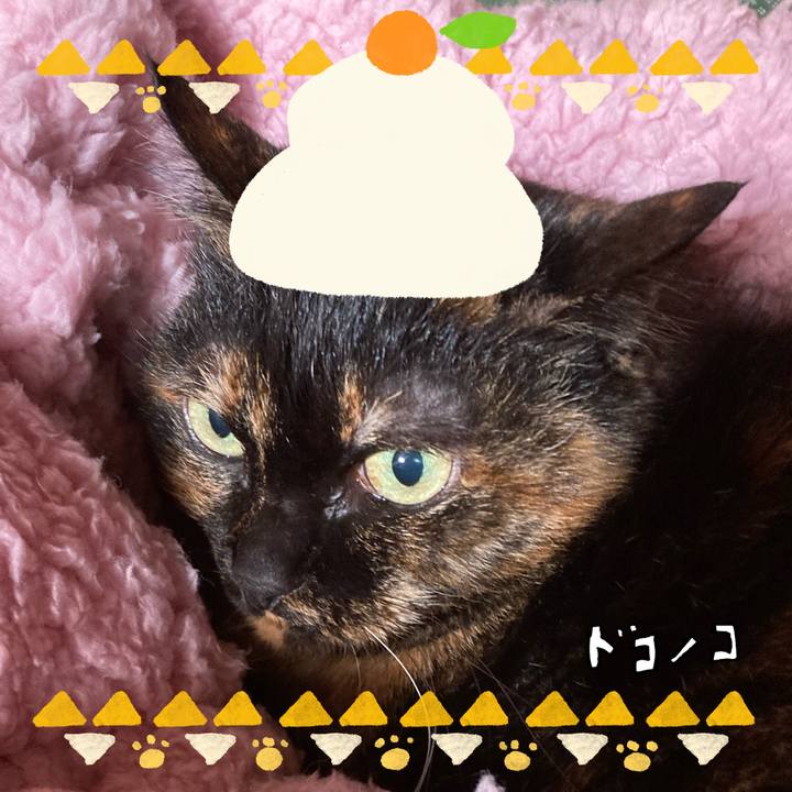 B52973ce f1c3 4082 9dd5 b5e948846842 1704075489342