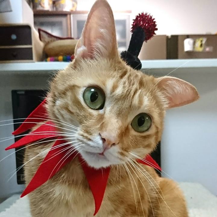 B52974ef 9d5f 445e 820f ac3240a72939 1554118616897