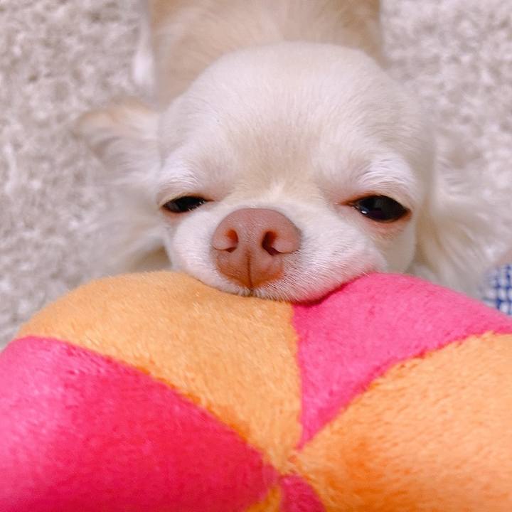 B5297b77 66ae 4352 a119 50f4a212b0c9 1624363086397