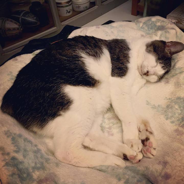 B529c575 128a 4a6e a3a6 8ae8e2c8335c 1612017579104