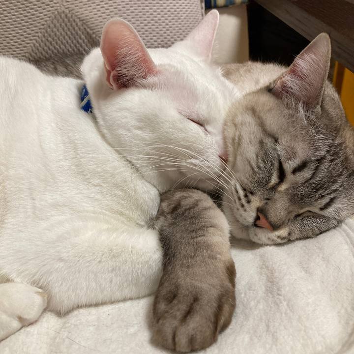 B529ceb1 9738 4703 98f1 4a54a8556ee7 1676202792878