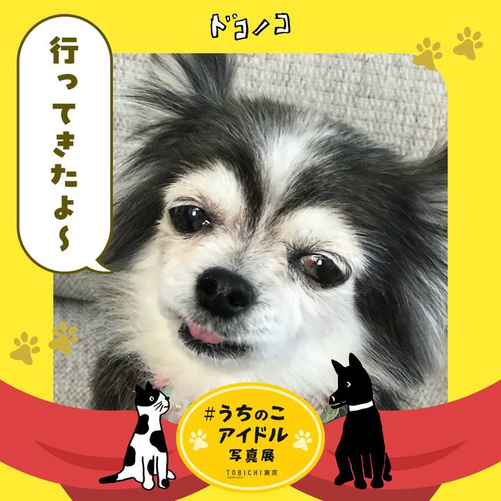 B529e034 f436 4420 afed 7a8683e61d3d 1761847051340