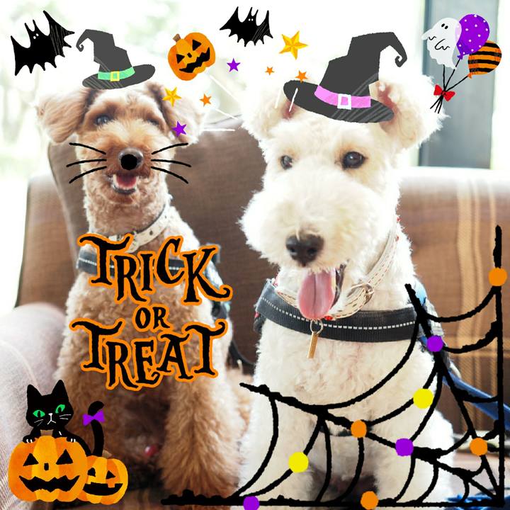 B529fb31 8963 468a b6f4 96c1c80f34b5 1536585420681