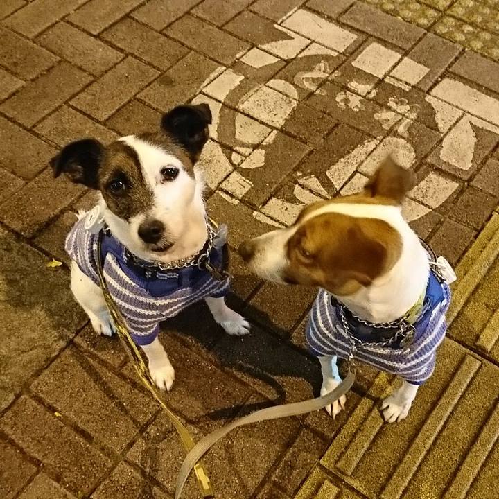 B52a1a6f 112b 4408 82ed 4f443e530889 1576761797009