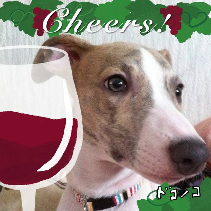 B52a49f1 088e 4787 8b91 4e684839688d 1763538961227