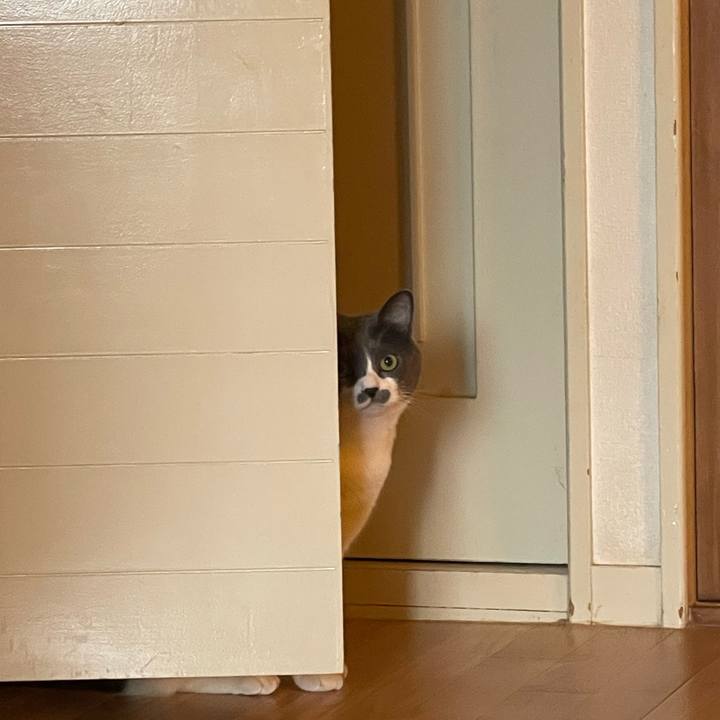 B52a53d0 3dfb 4c0d a467 bfd36101e8b0 1724282925509