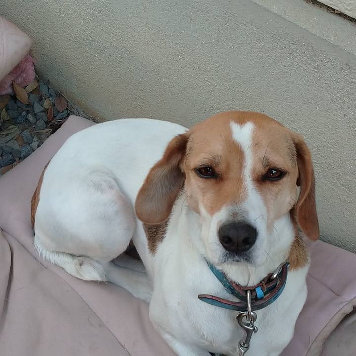 B52a801f 5ba6 4c24 805f 9d2f8af38a27 1575356134197