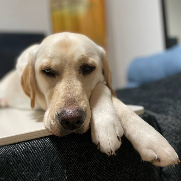 B52a8667 459d 4ad3 99ff 094a92ac3daf 1644066190976