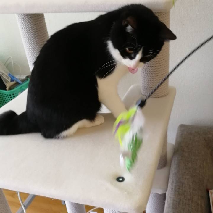 B52a992f af3a 4b10 9c84 e412ecfb3568 1552033392745