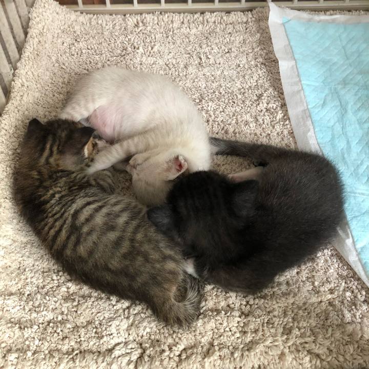 B52b08eb 8d8b 456b b952 1f0d06f96c8e 1596721397928