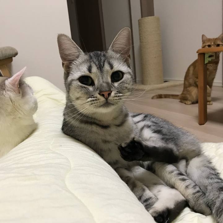 B52b483d c3e1 44a9 a768 c2e624ecafe6 1539179886847