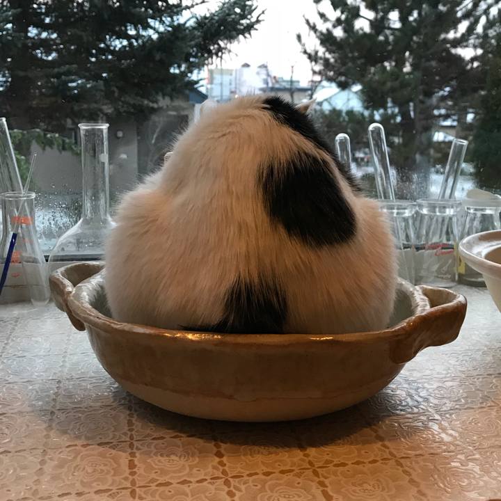 B52b4e1f aa4d 4fec 911b c140fa8b7a45 1542749749578