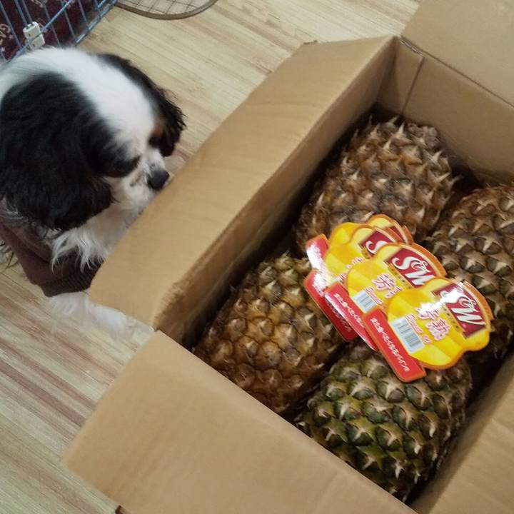 B52b4f72 d518 4dd6 ba55 62a19c9c8ac2 1587294329263