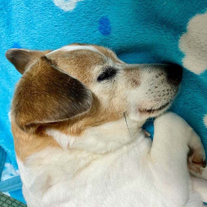 B52b54b9 9894 4a37 aa48 a5bcf4f148c9 1713446302013