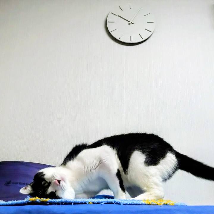 B52b8937 7550 46e4 9a54 6970c05f7f53 1763645873352