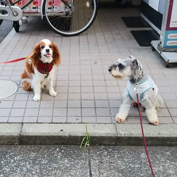 B52baa4f a3d1 490f b9fe a63ae2f72171 1564871953117