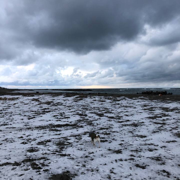 B52bb4a5 4d43 4ea9 aab4 bf34448ea531 1609716908552