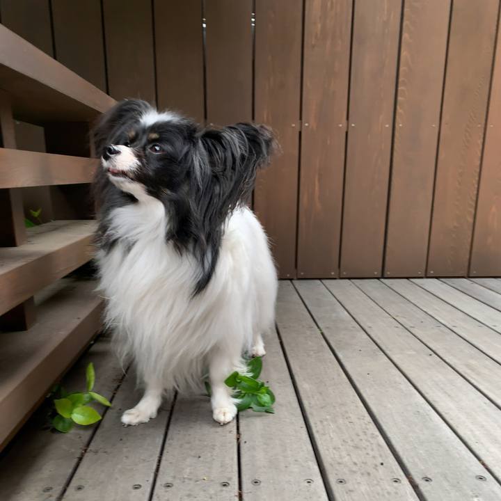 B52bd443 6d62 4452 8238 646b68ce2562 1557213297081