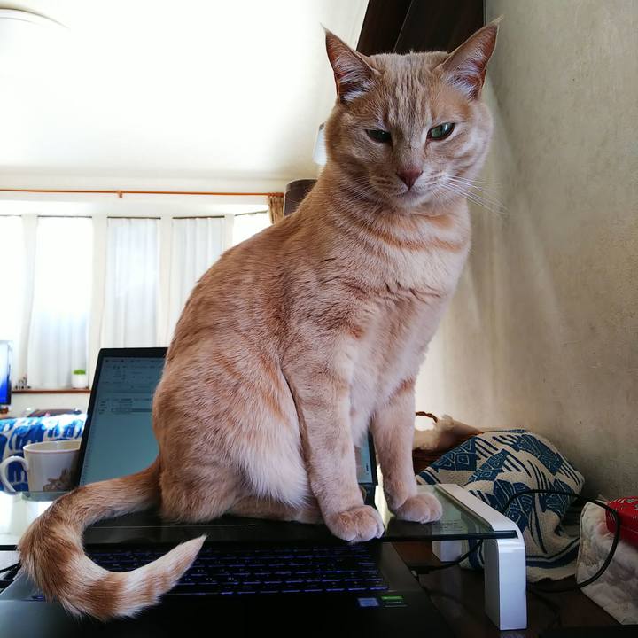 B52c01b0 75a3 492c ad96 7365f2cf595d 1644464189197