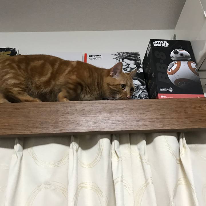 B52c2aa2 6c53 4eb3 bf5d 5d2c6a44df67 1515221144947