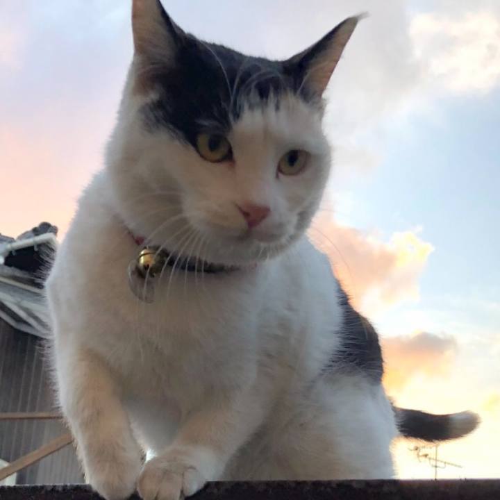 B52c43c3 831e 4d9a 97e0 23b860a97b7e 1615471827214