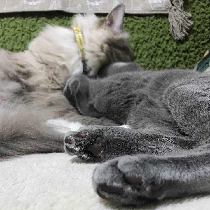 B52c509d 36aa 456f adef 393d2bfbfd1f 1512051042217