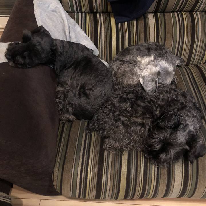 B52c6502 bf76 4354 bd8d 1c3572e92b07 1518987498027