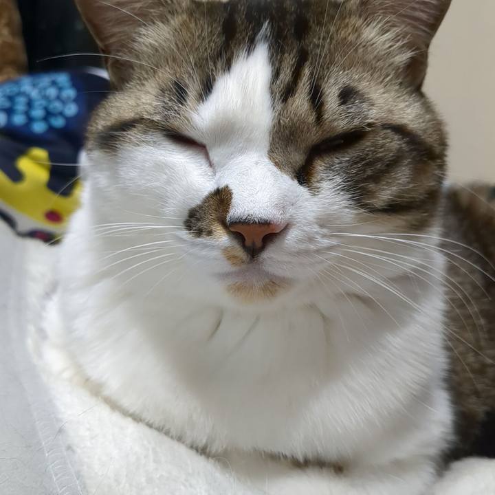 B52c7cbb f4b6 419b 9346 81d31fe6cf1d 1675941538170