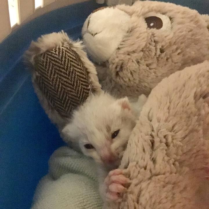 B52c8c83 3a05 4e08 81f5 ab88b75664ff 1772180269915