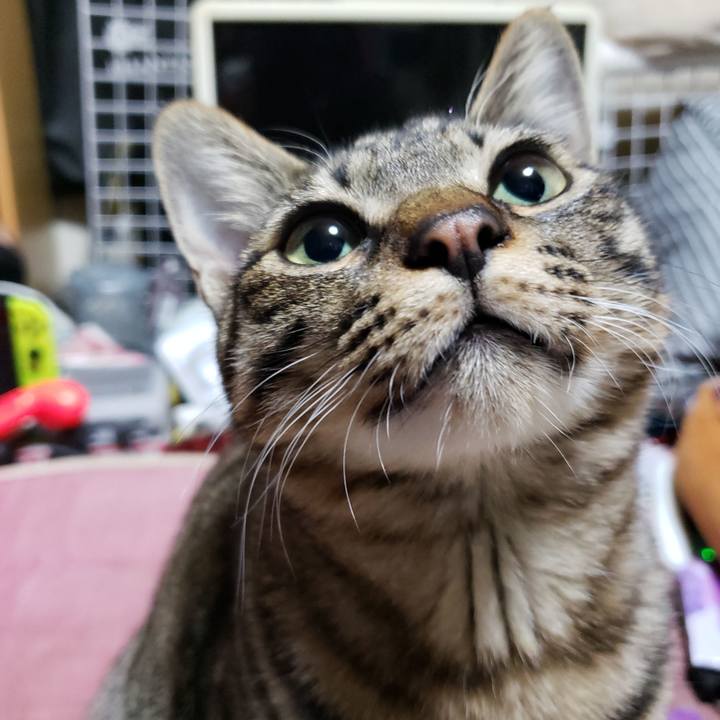 B52c9409 07f1 4946 b6f8 5f2fbb401e82 1545488986567