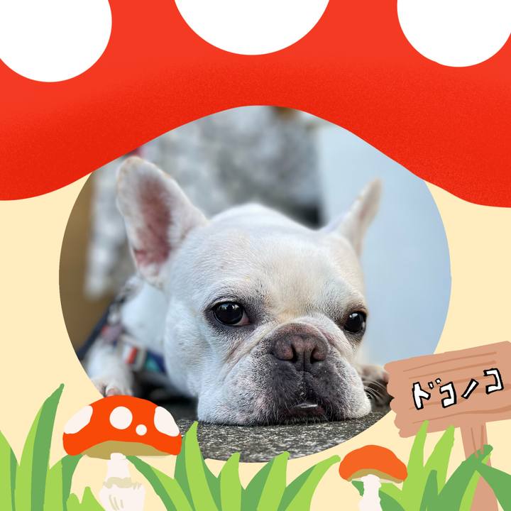 B52c9793 3be1 48f8 a3c8 967e65cbaebf 1729412323993