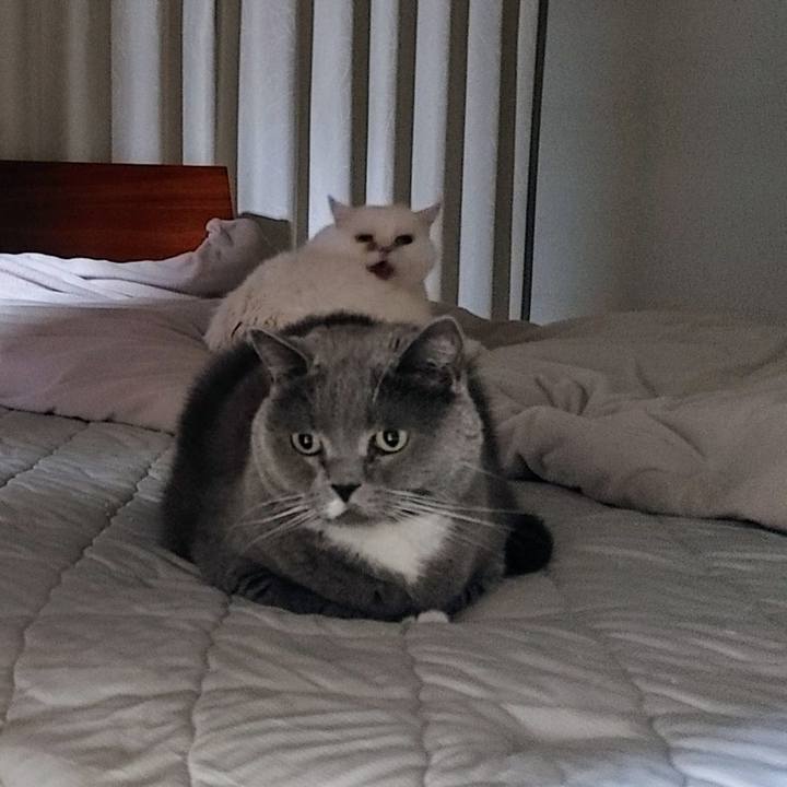 B52cbfd5 dd16 4f4e b3da 0eebc4d4f887 1728484085105