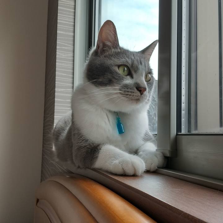 B52cc191 2c71 48e6 941b 106ae483b2d0 1623458329433