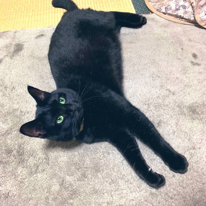 B52cc76a 3496 41e9 9e09 c9570661dcbc 1578145277964