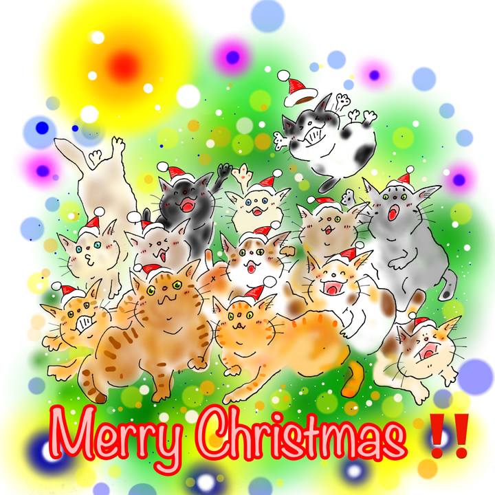 B52cca30 6afc 46e0 ae15 cf4a2e24b63c 1671891268094