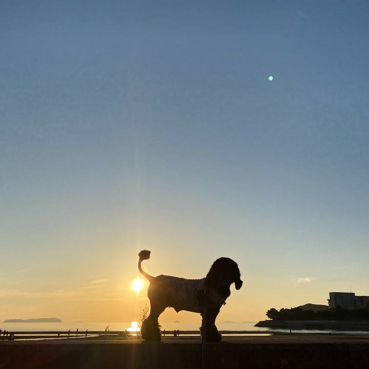 B52ce5ee cb6f 4788 893d 1198ba82e617 1603719352623