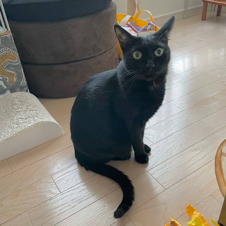 B52d17bd 6235 4795 9dcf 0aa33a236317 1696131651020