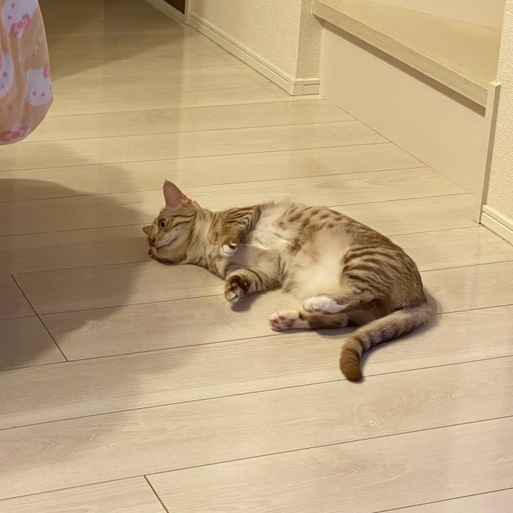 B52d2d23 8b90 467c 9069 68f451adc532 1622295661790