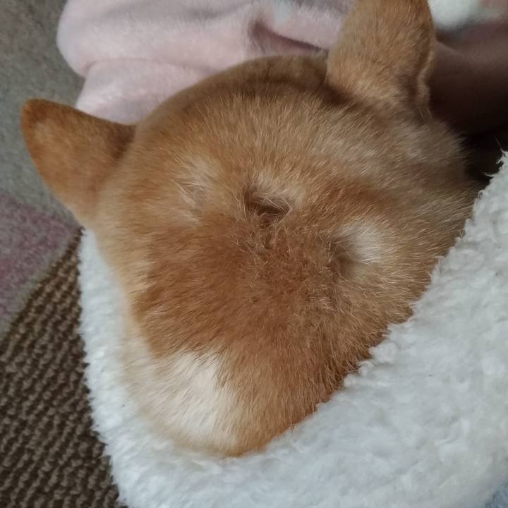 B52d33c6 61a5 42a3 8159 d0d7d4d996b7 1607252304086