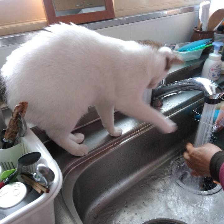 B52d4078 24e0 4de1 8a9b 51db707576c3 1677414578757