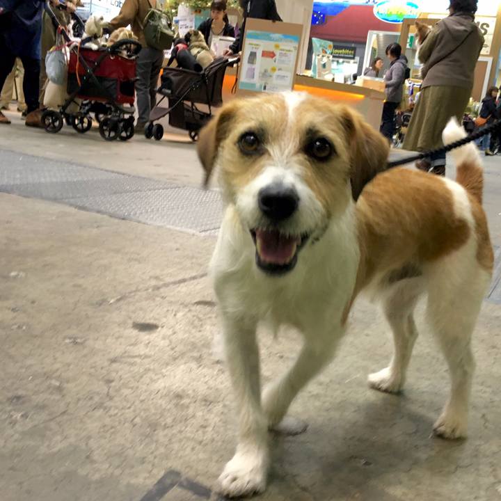 B52d5e71 abd2 4a88 b733 001102a053a4 1553849371510