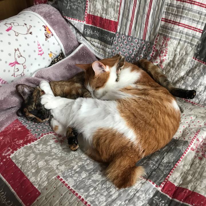 B52d9261 b20c 4d1f 9570 29aba7f221cd 1618716315756