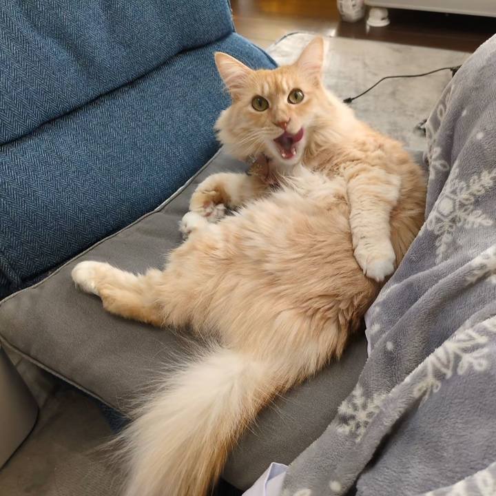 B52dac81 f6cb 4a94 8031 0c3f44f8246b 1735793149256