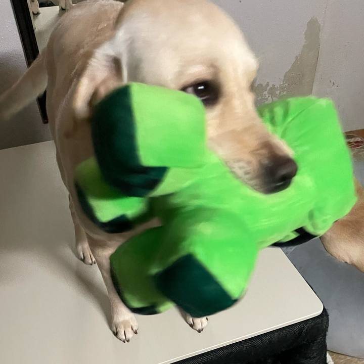 B52dcd20 3d1e 42e3 96eb 4e95ad587978 1642457551657