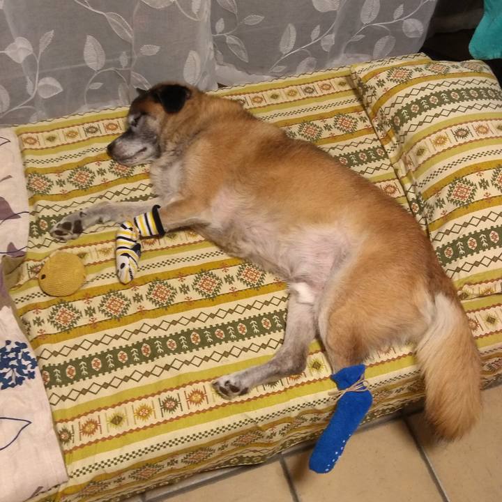 B52dd94a 0194 436f b2ae 721b64d44840 1569114625940