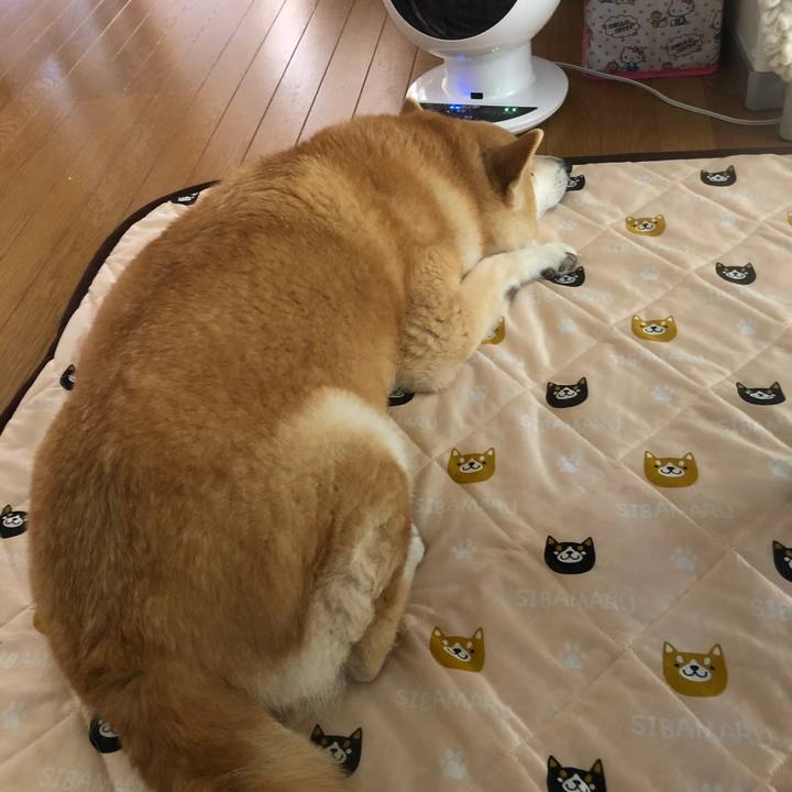 B52df204 2f86 48ed a096 83be7b4d6f72 1591691963150