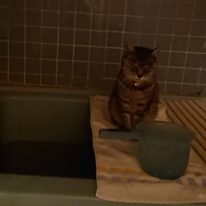 B52e2023 60ba 4b48 b4bf e68da5ba3aeb 1604308911006