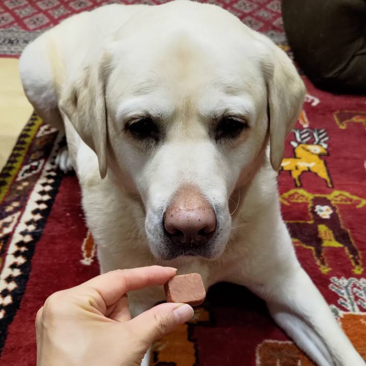 B52e4503 8494 4017 a6ca 5b9cda80be6c 1709515112841