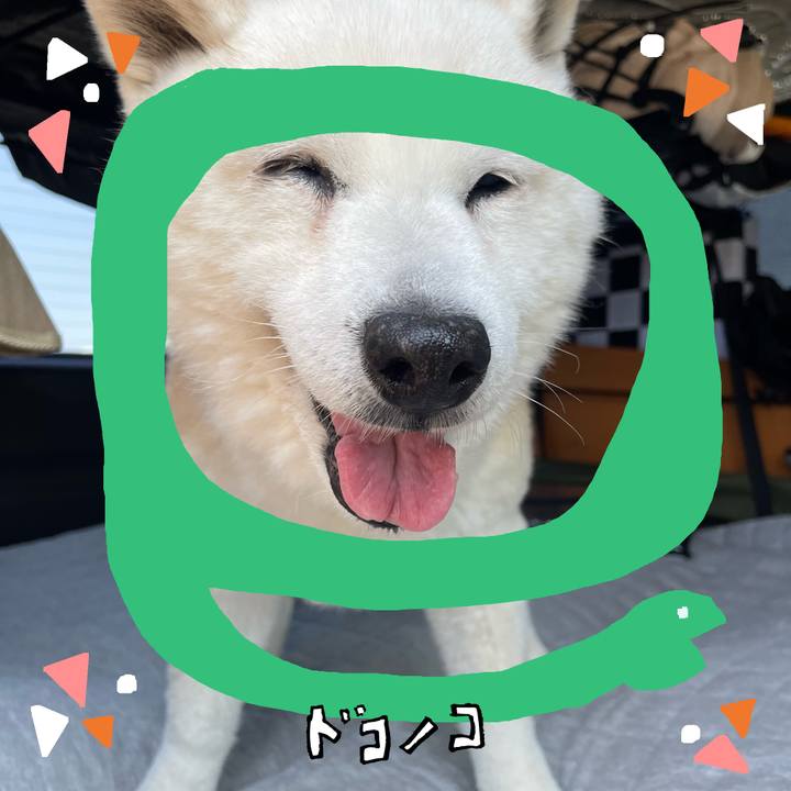 B52e6eba f603 4396 a5ec a9045b70e627 1741063905883