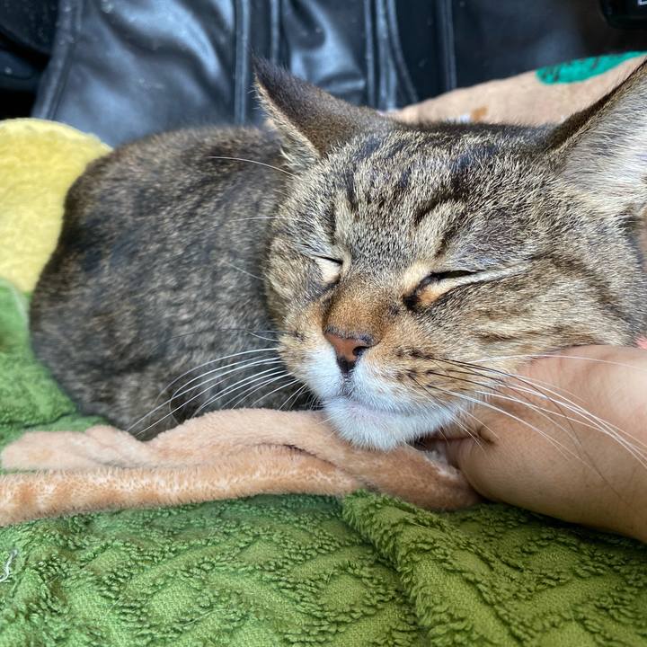 B52e7e57 34ca 4f35 b01c 3f1d9292153e 1743910537381